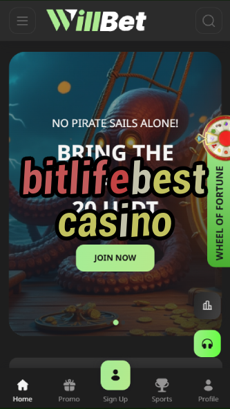 bitlife best casino-asdasdzhjkds.com